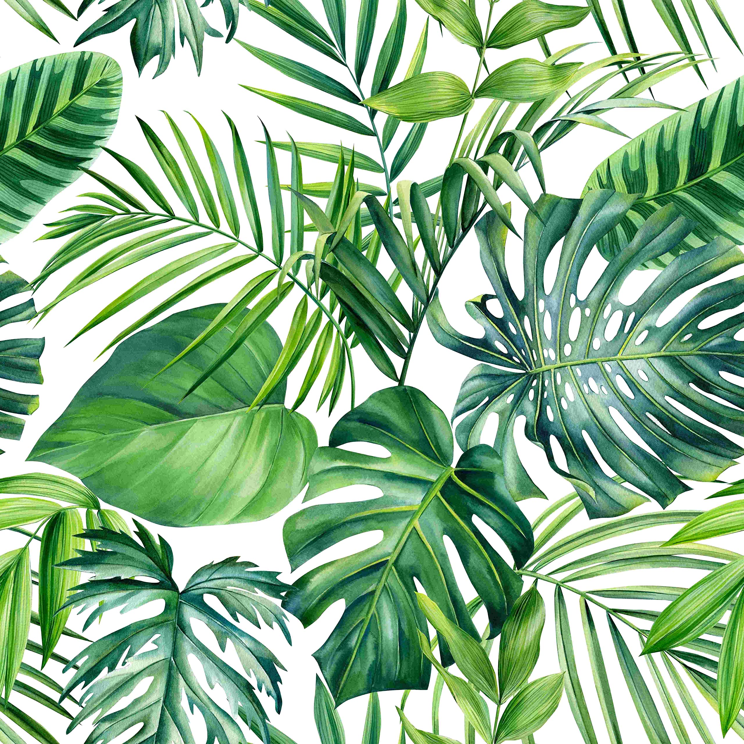 2560x2560 SANILA Tropical Palm Leaf Wallpaper Peel and Stick Wallpaper Tropical Wallpaper Palm Leaf Contact Paper Jungle Wallpaper Palm Leaves Wall Paper Self Adhesive Removable Wallpaper Decor 17.7”x118.1”