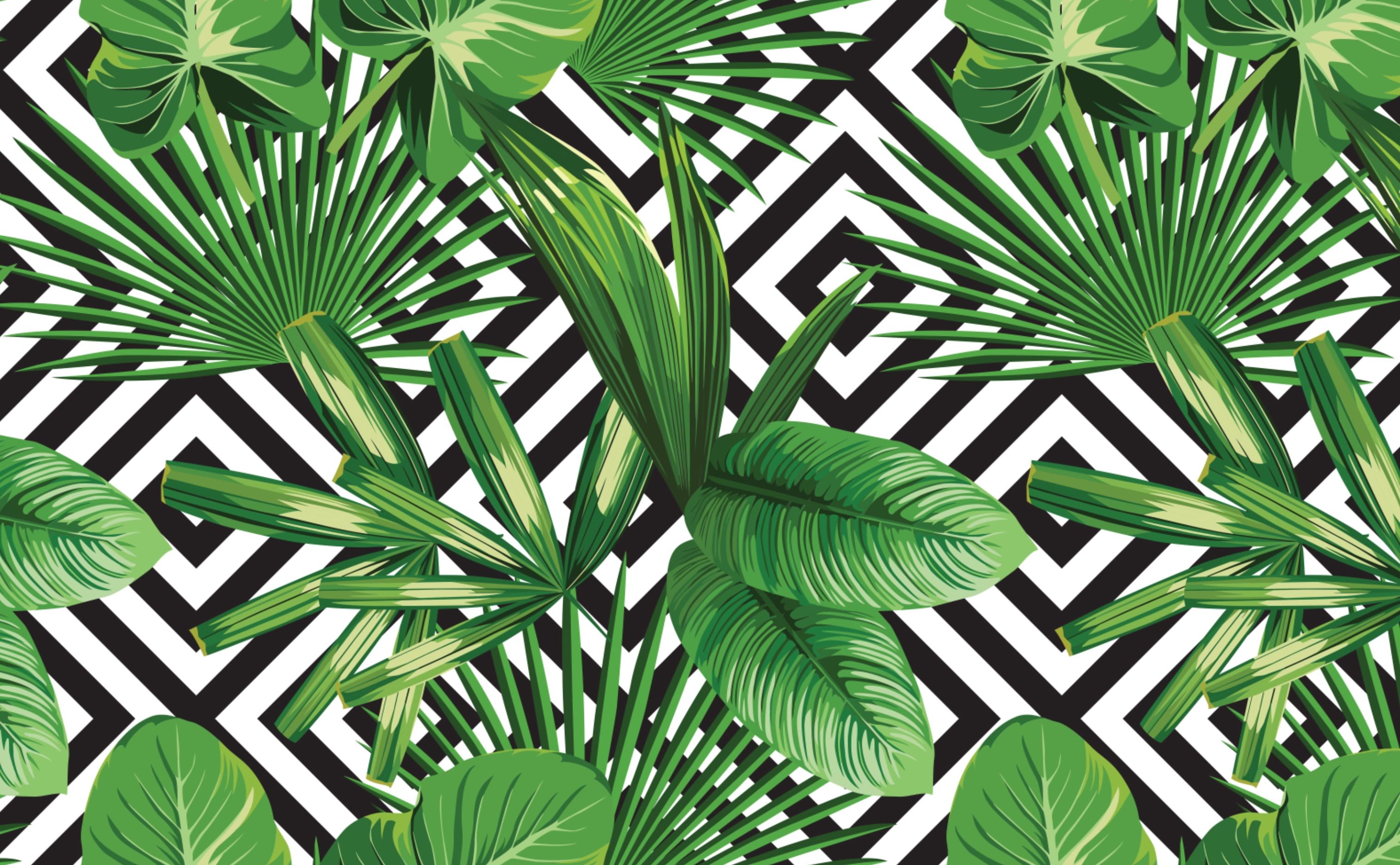3028x1872 Palms Over Diamonds