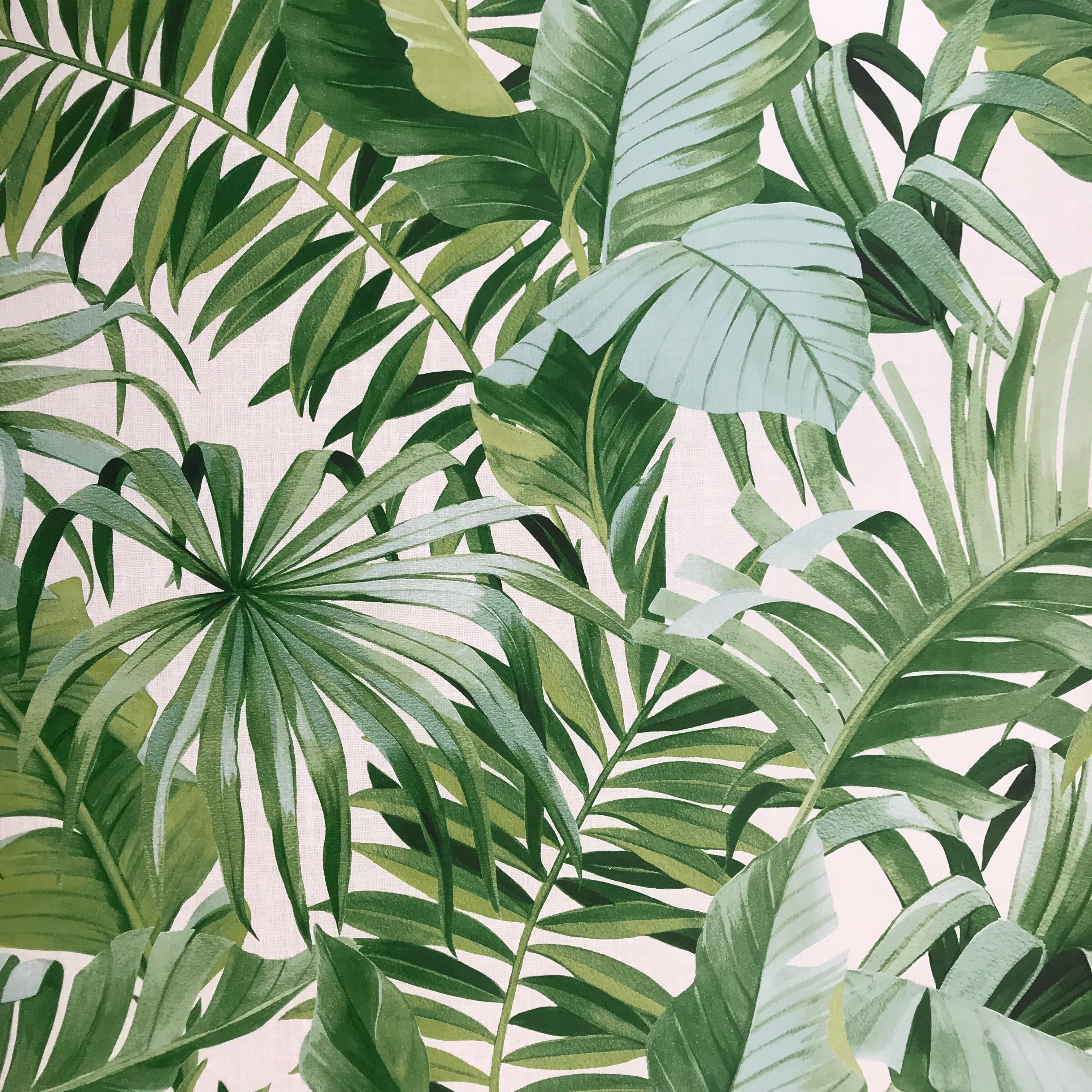 3024x3024 FD24136 Palm leaves Banana Leaf White Green Tropical Wallpaper