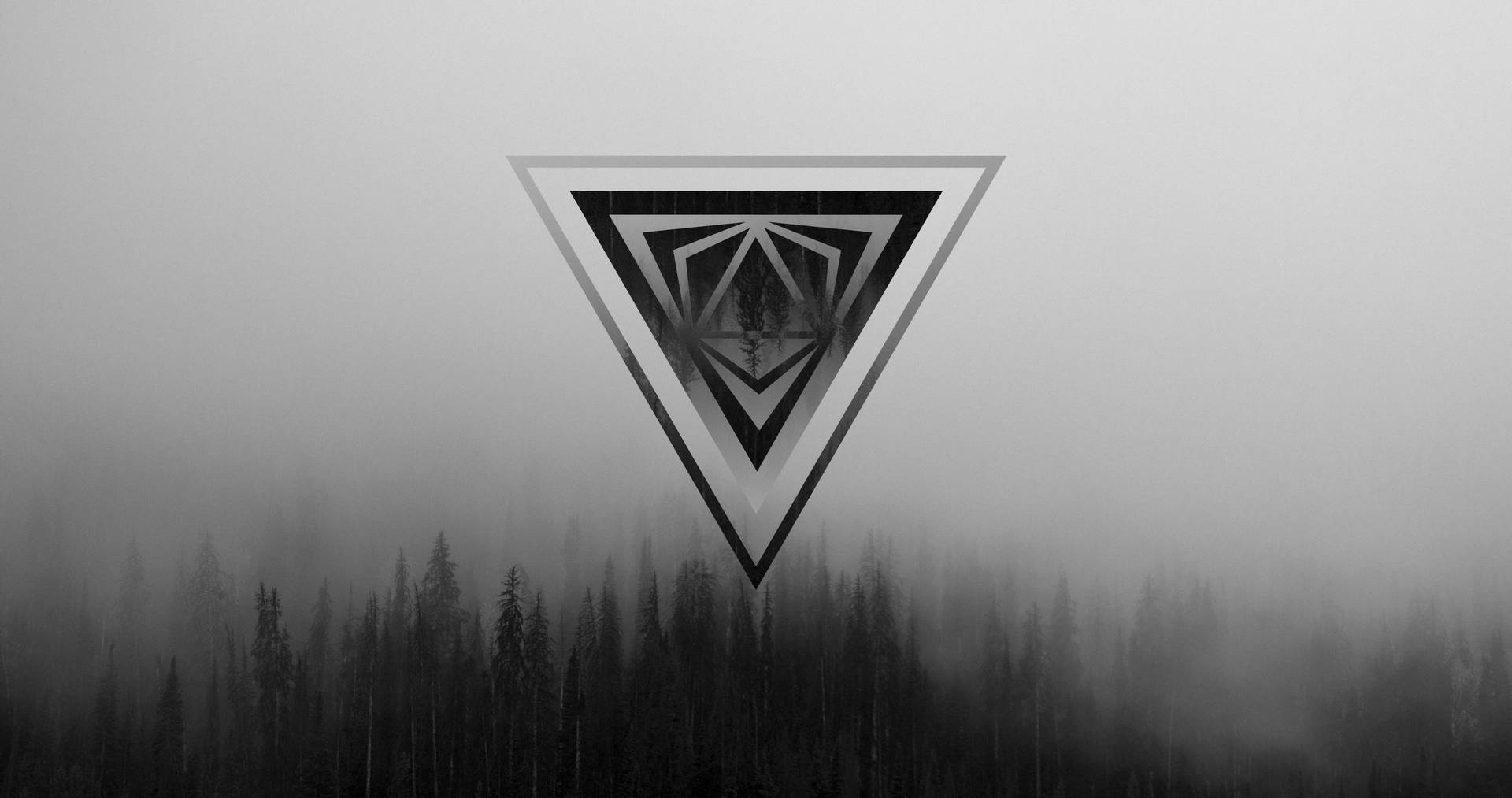 1920x1013 Windows 11 Grey Wallpaper