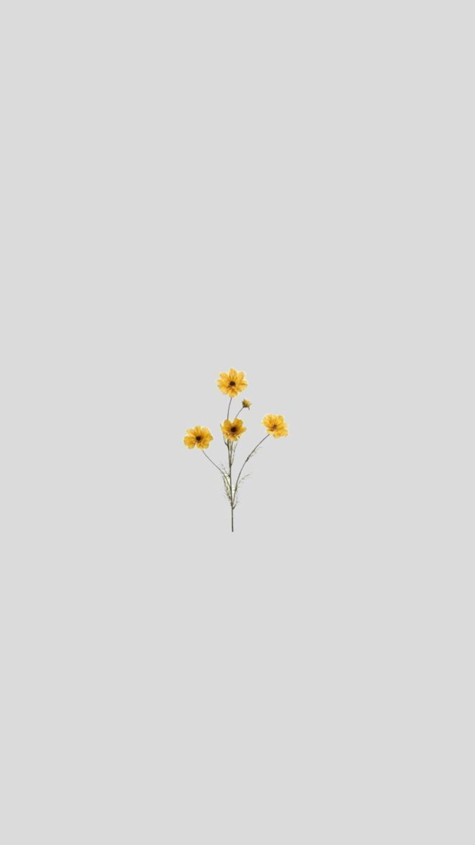 675x1200 Cute iPhone Wallpaper HD Quality