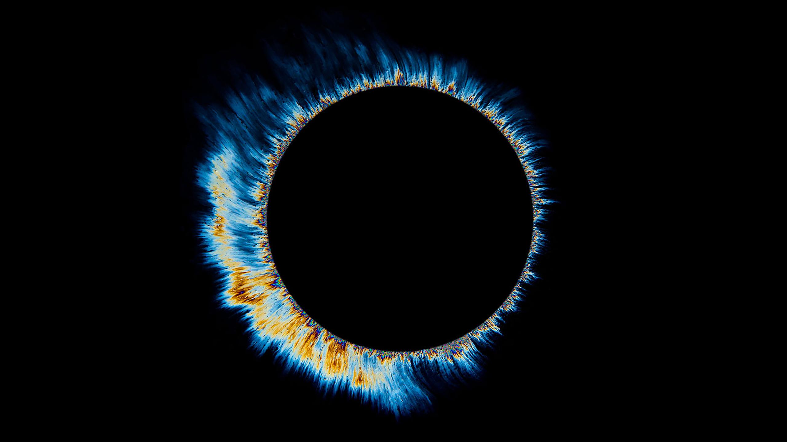 2560x1440 Amoled 1440p Wallpaper