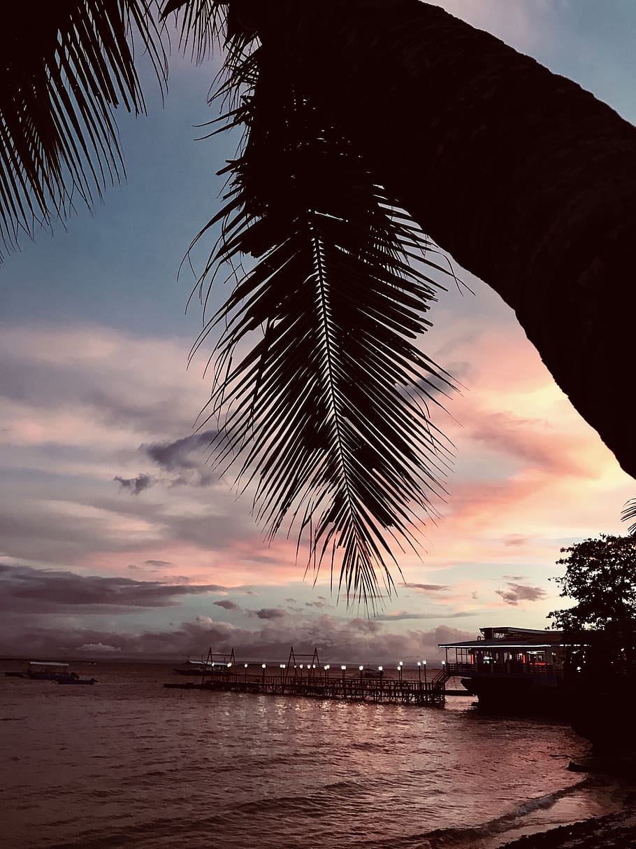 910x1213 Cebu 1080P, 2K, 4K, 5K HD wallpaper free download