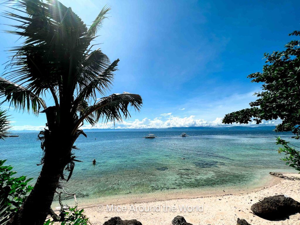 1024x768 The best things to do when visiting Cebu Around The World