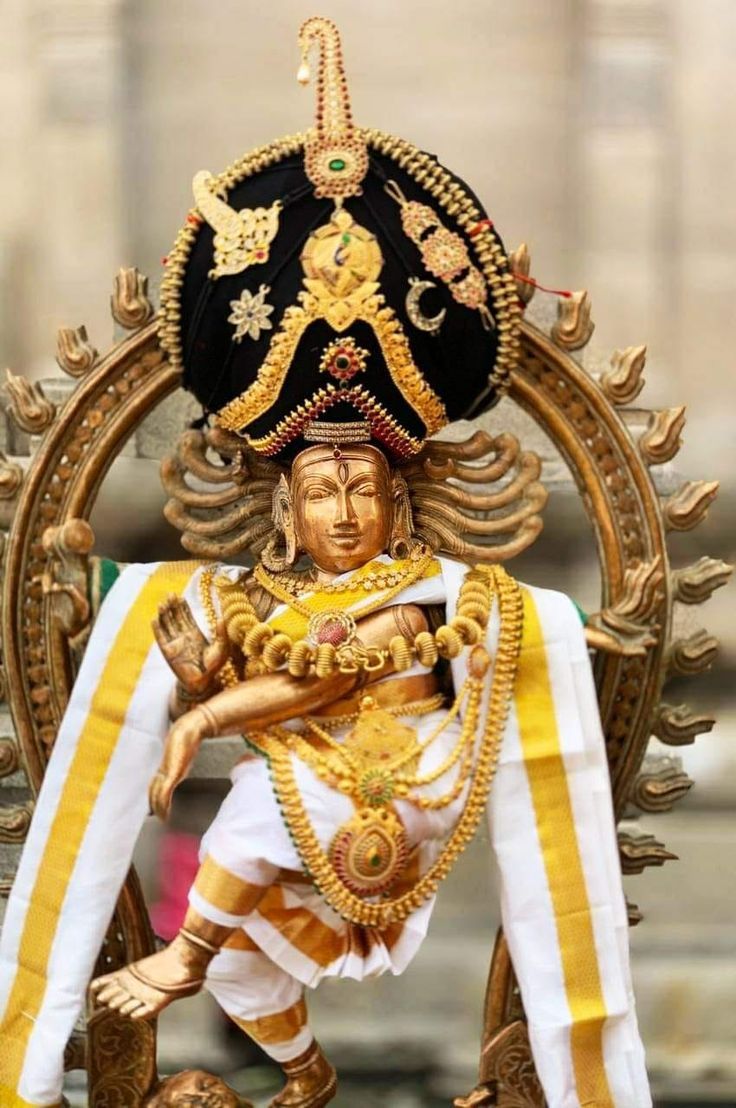 736x1108 Chidambaram Nataraja Temple: Familiar and Unfamiliar Data