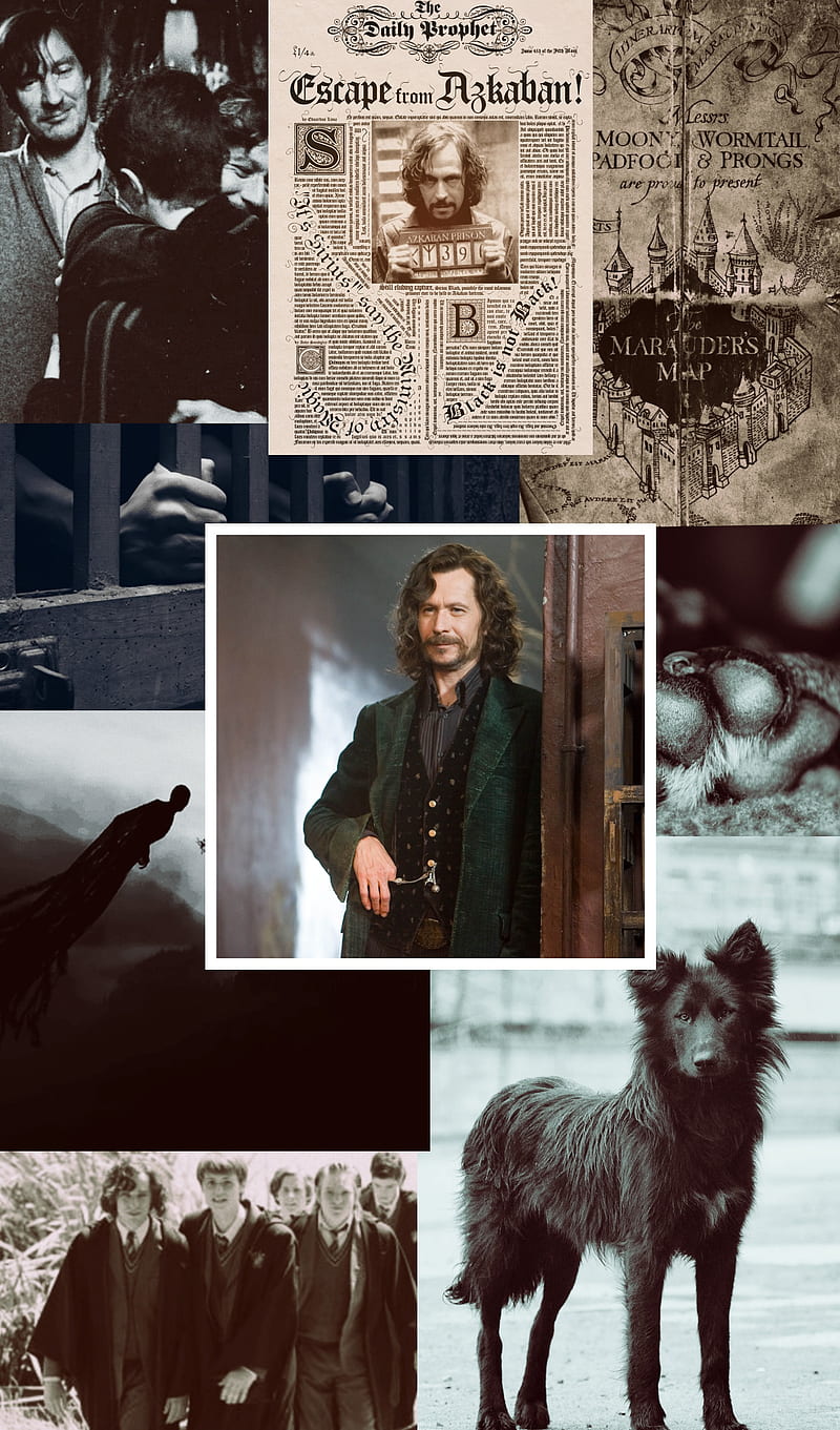 800x1361 Sirius Black, collage, harry potter, HD phone wallpaper