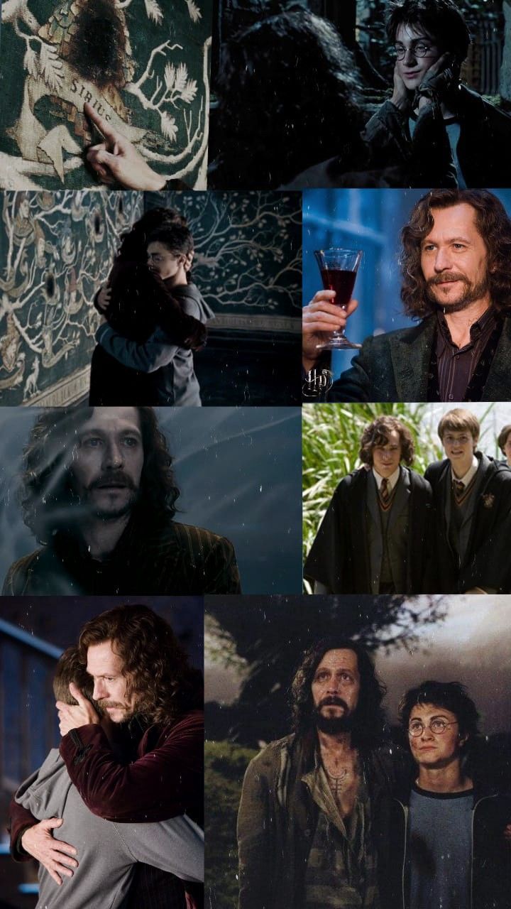 720x1280 Sirius Black wallpaper