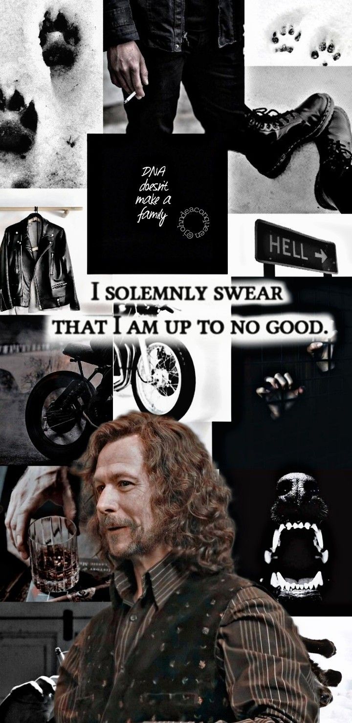 720x1478 ✨Sirius Black wallpaper✨