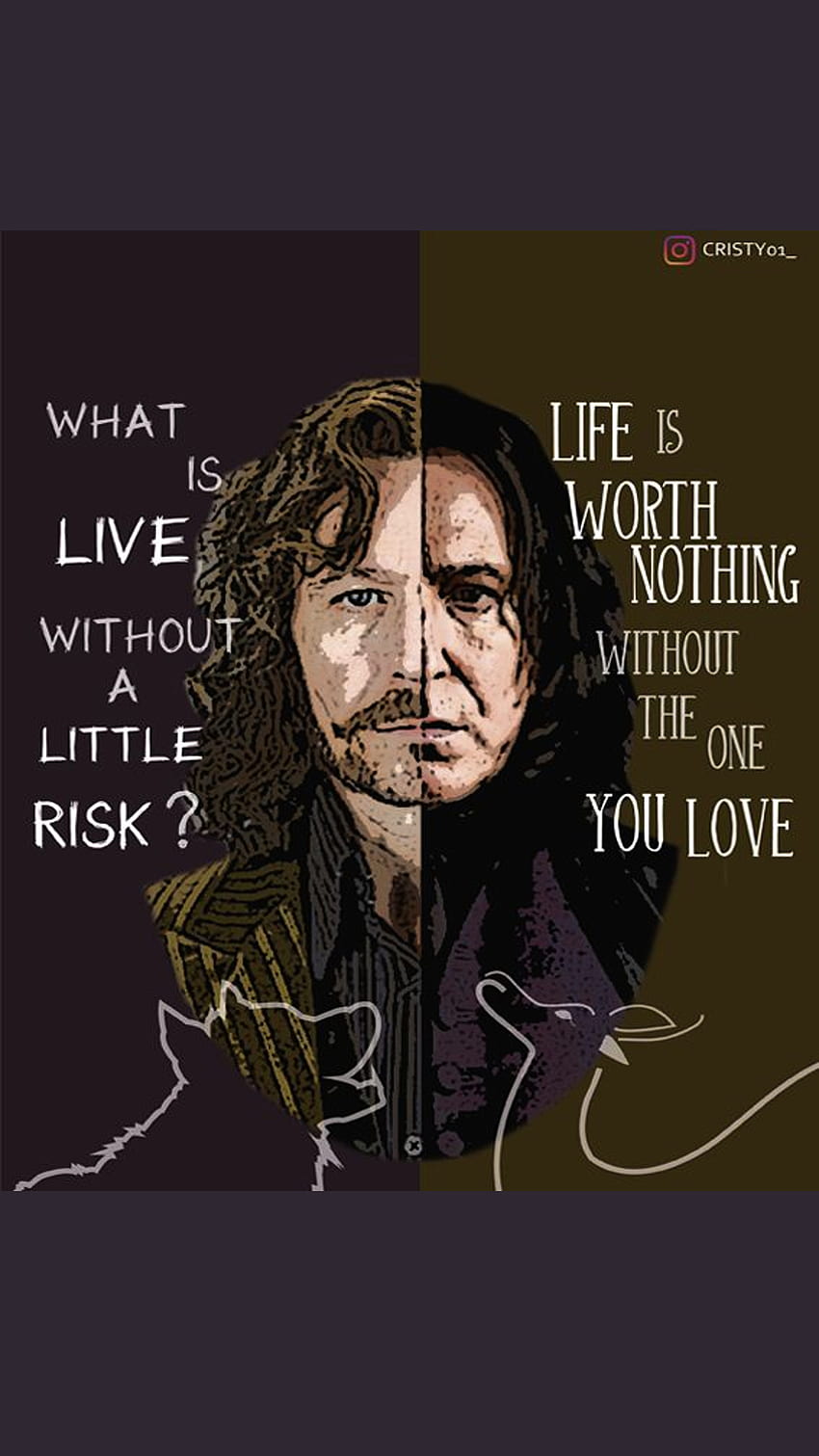 850x1511 Sirius Black, magic, fantasy, harrypotter, PrisonerofAzkaban, harry, siriusblack, azkaban, potter HD phone wallpaper