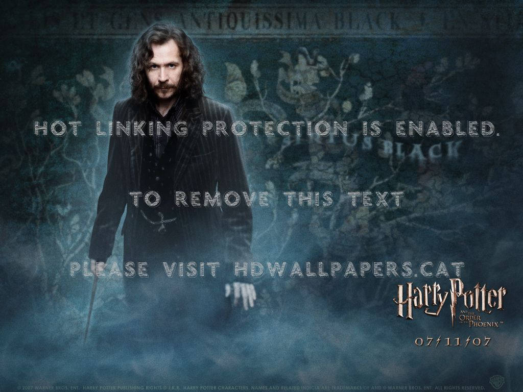 1024x768 Download Sirius Black Ghost Wallpaper