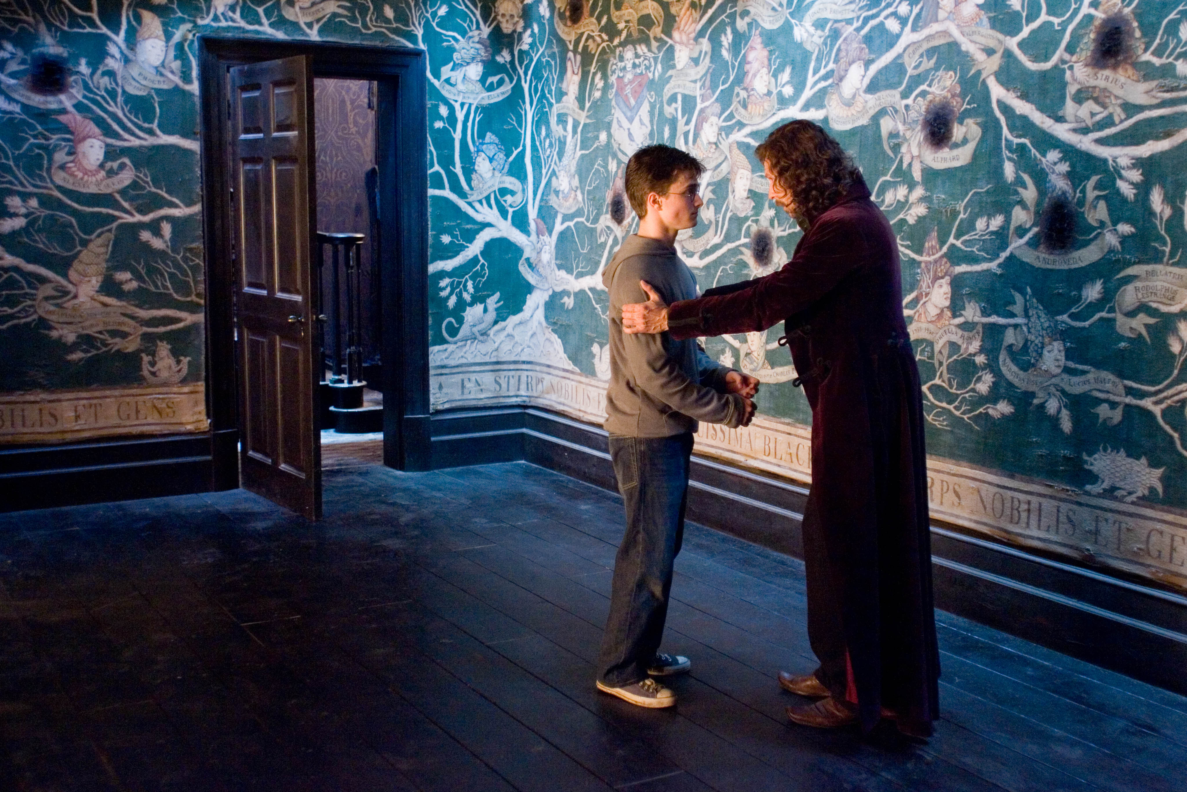 4096x2731 Harry Potter. Sirius Black and Harry Potter: two peas in a (Snargaluff) pod