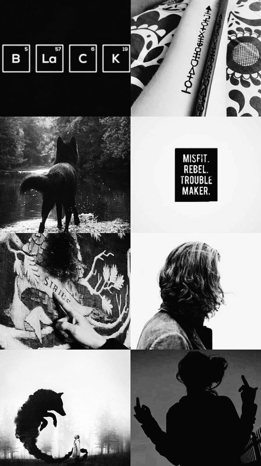 850x1513 Sirius black padfoot harry potter black and white aesthetic moodboard edit. Save HD phone wallpaper