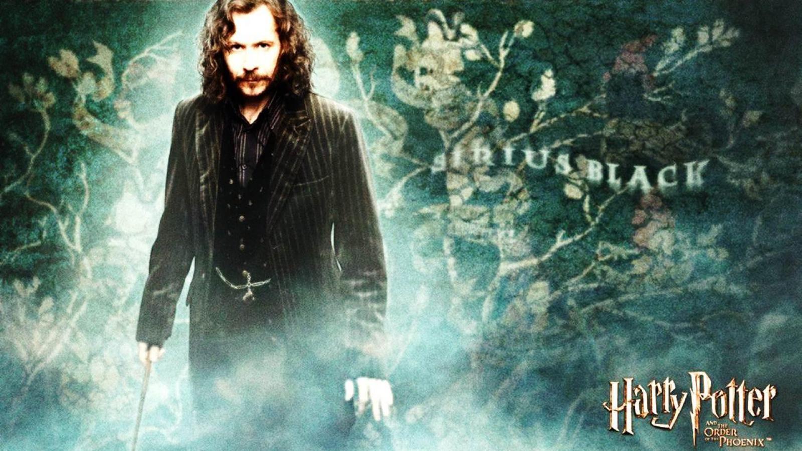 1600x900 Sirius Black Wallpaper