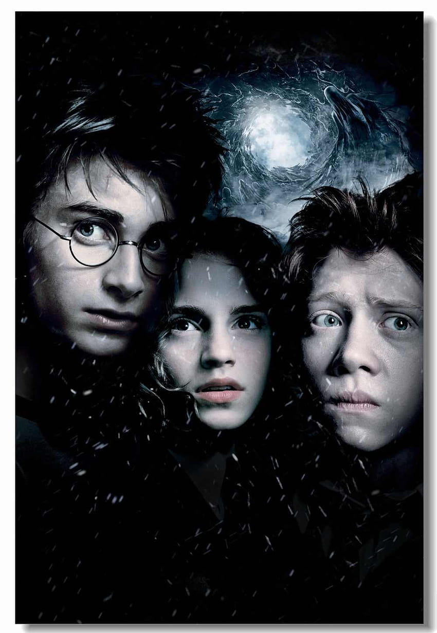 850x1232 Custom Canvas Wall Decal Harry Potter Sirius Black Poster Wizard David Thewlis Stickers The Prisoner Of Azkaban, harry potter and the prisoner of azkaban HD phone wallpaper