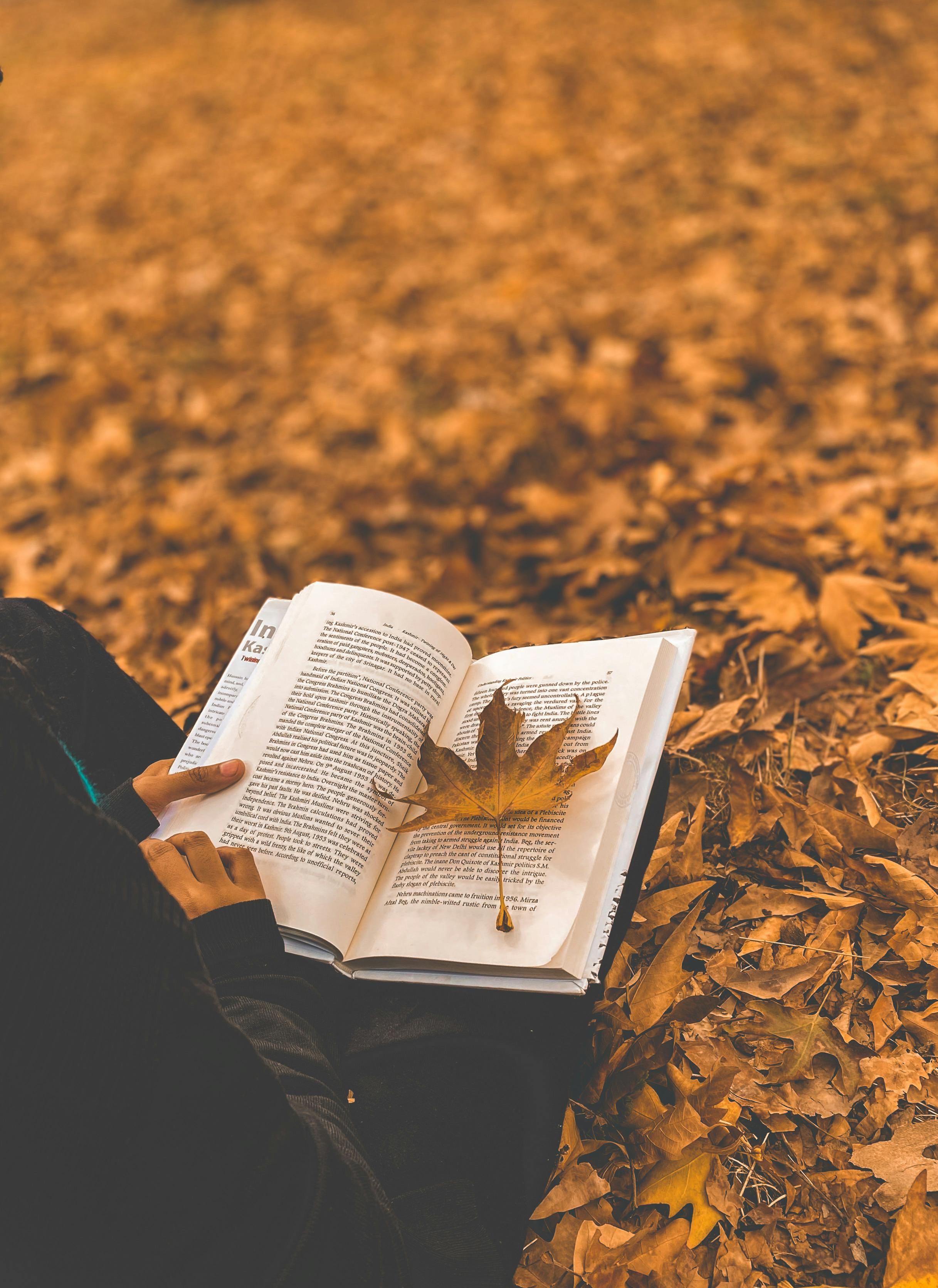 2434x3343 Leaf on a Book · Free