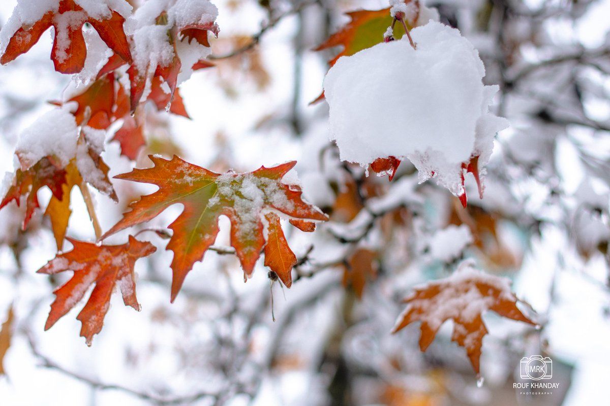 1200x800 Winter in #Kashmir