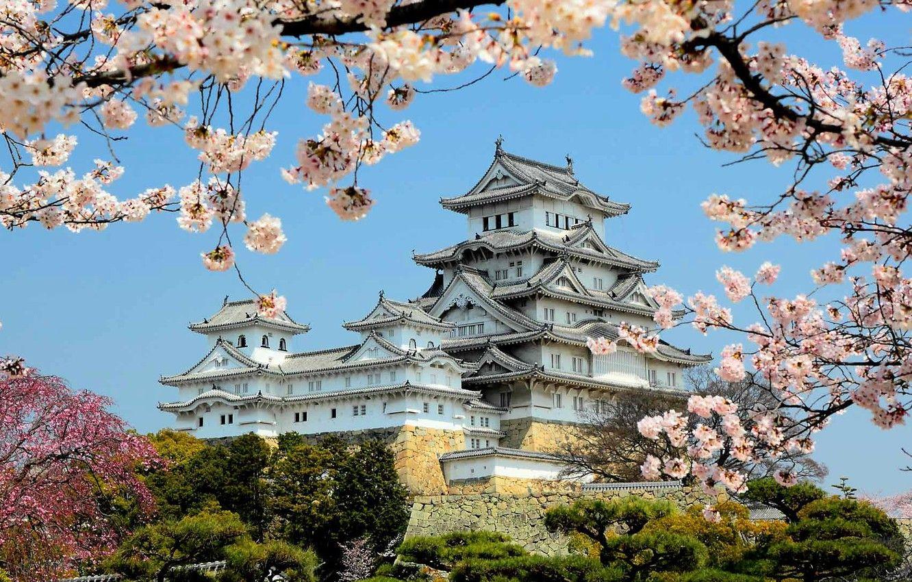 Spring japan wallpapers top free spring japan backgrounds 