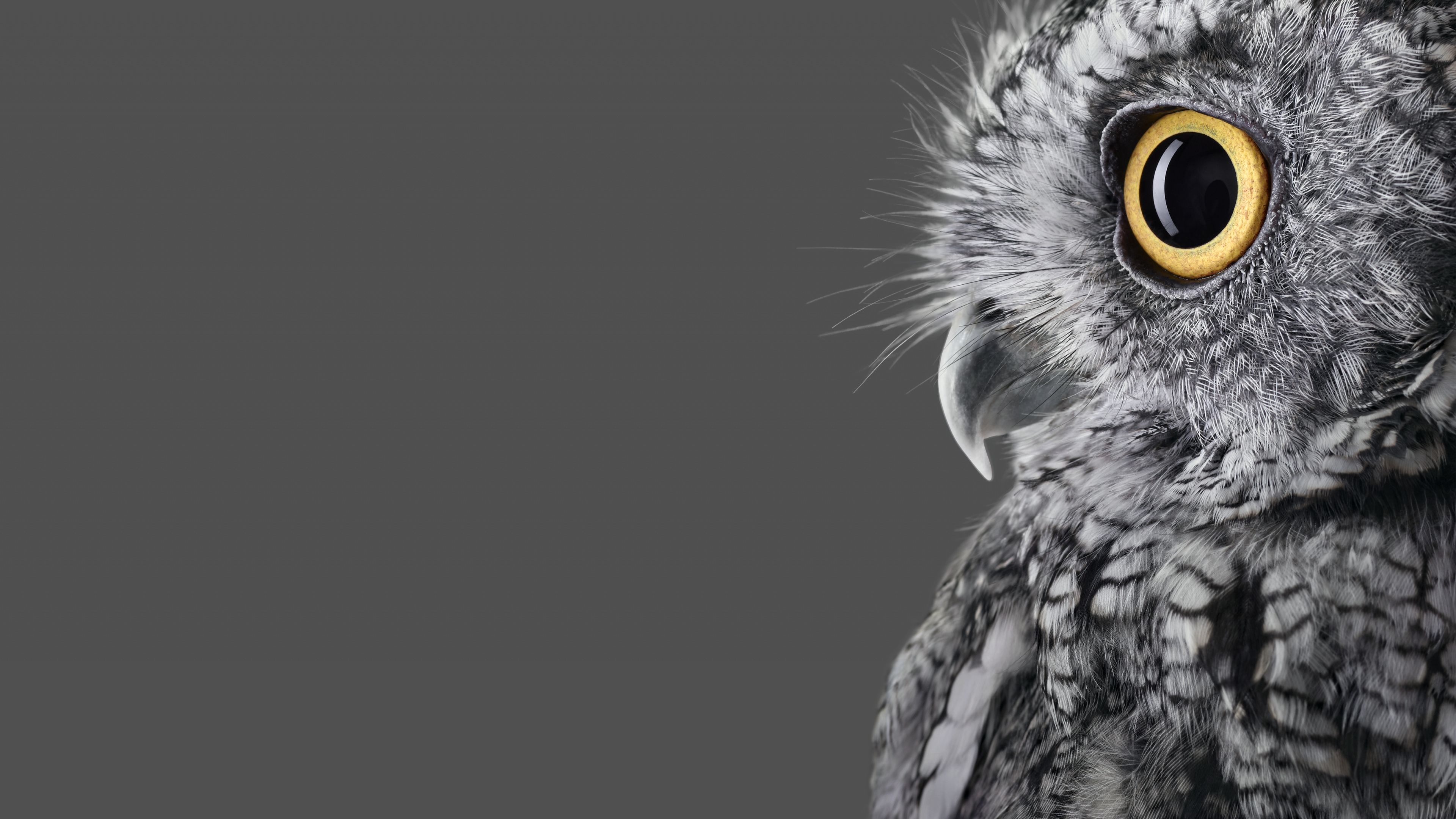 3840x2160 4K Ultra HD Microsoft Surface Wallpaper Free 3840x2160 High Quality Background