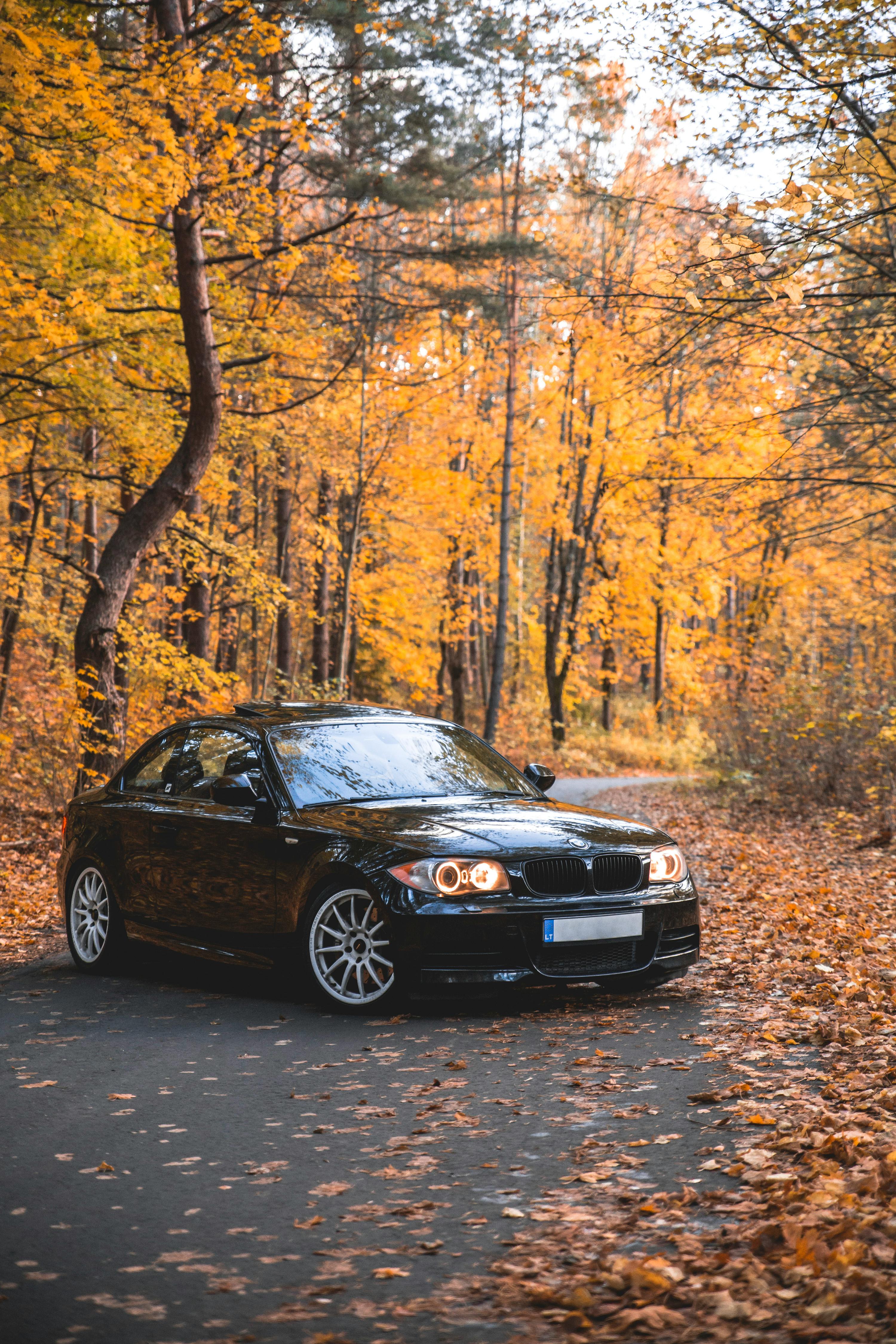 3000x4500 Black Bmw Car Parked on Road · Free