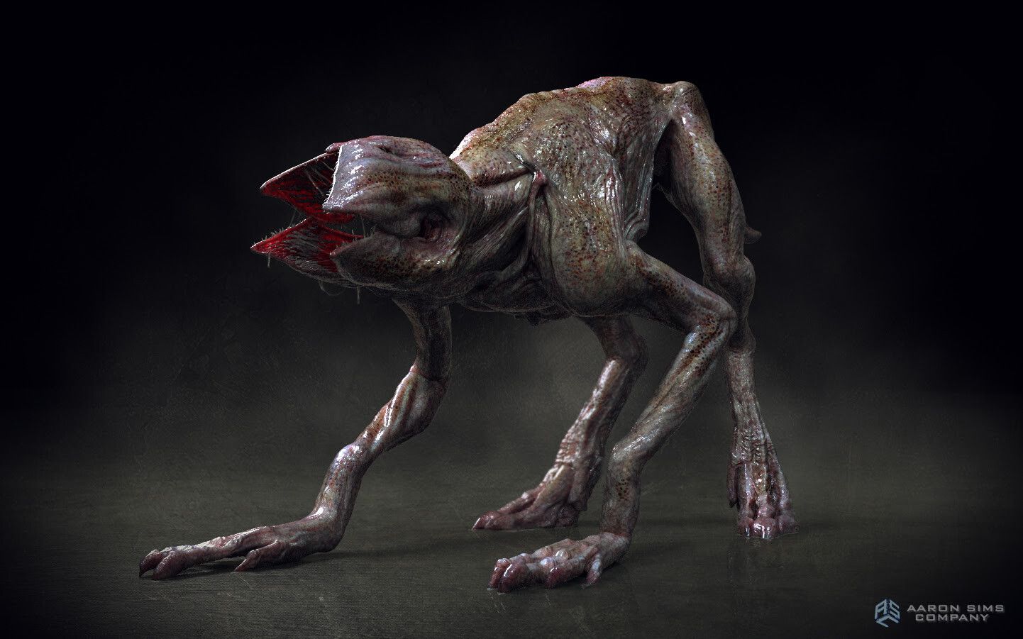 1442x901 Stéphane Paccolat