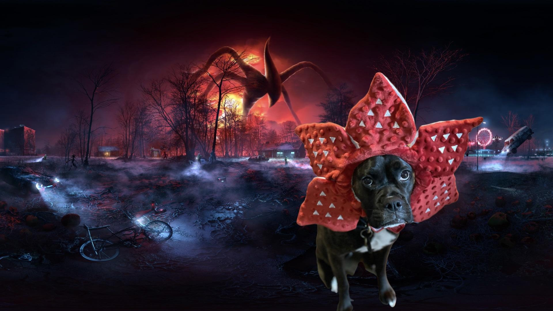 1920x1080 Happy Halloween from my Demodog!