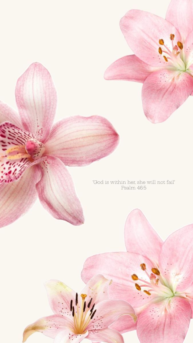 675x1200 Phone Inspo. Lily wallpaper, Lily flower, iPhone wallpaper classy