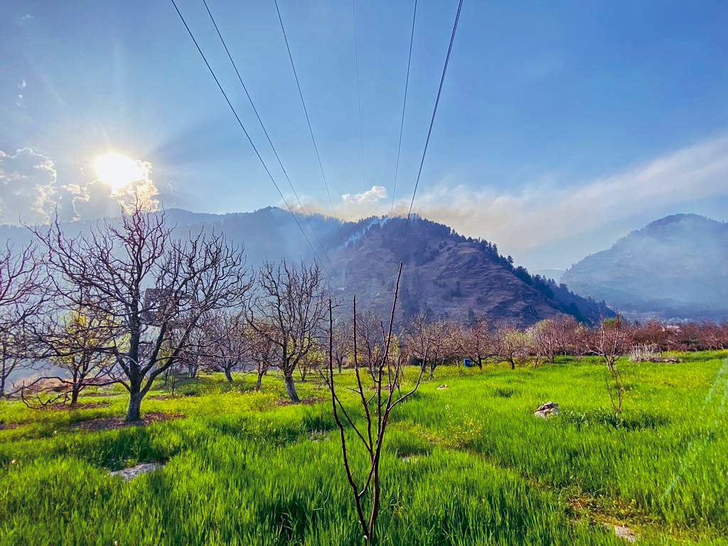 Spring In India Wallpapers - Top Free Spring In India Backgrounds ...