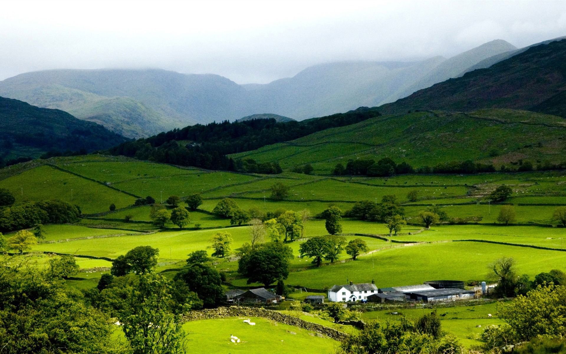 1920x1200 Mountain Spring Beautiful Natural Scenery Desktop Wallpaper