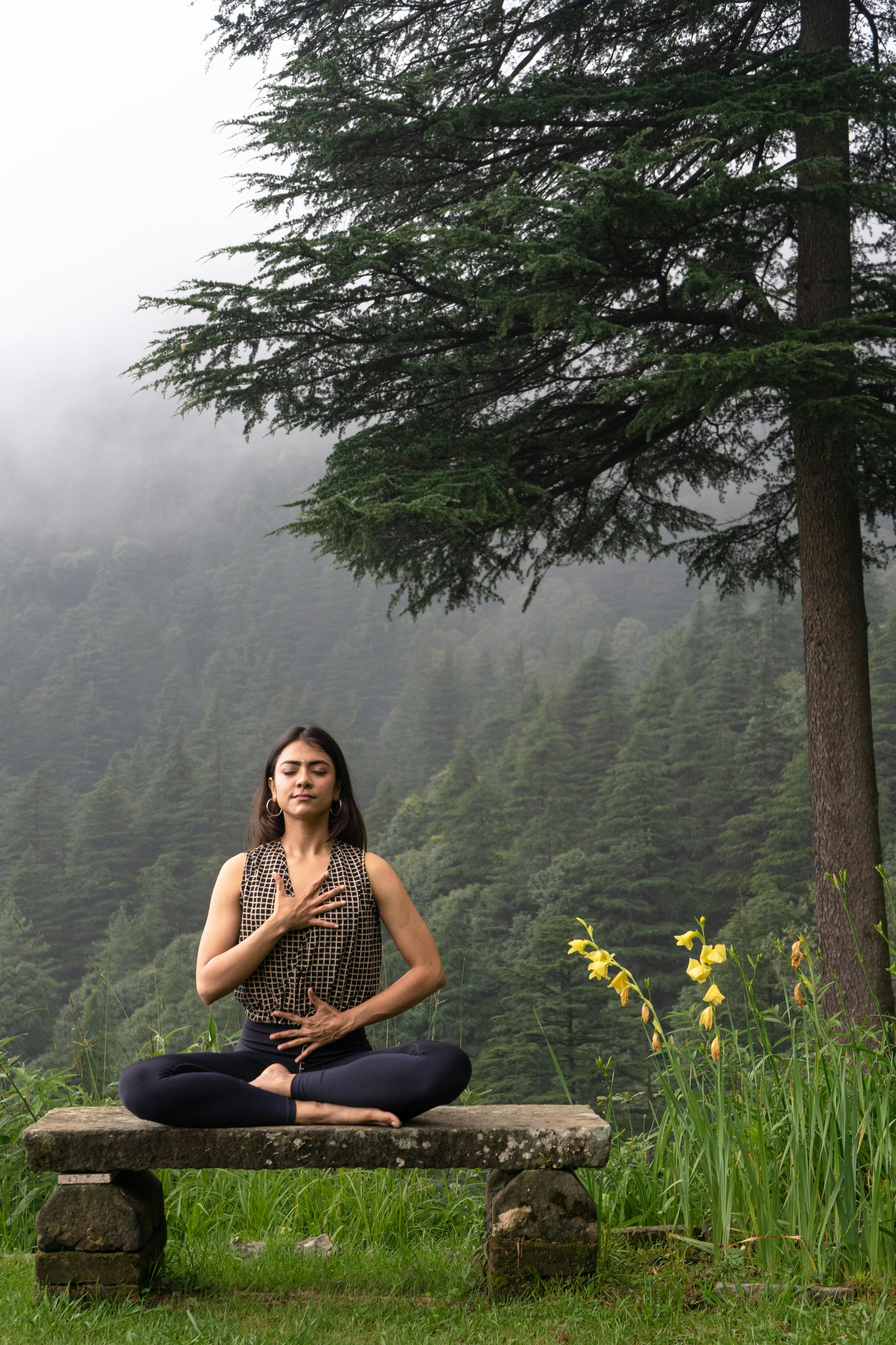3485x5228 Woman Sitting on Bench in Forest and Exercising Yoga · Free
