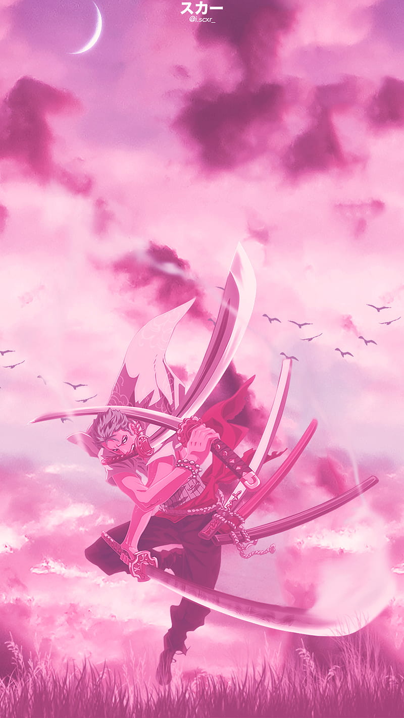 800x1422 Roronoa Zoro, aesthetic, anime, anime, luffy, one piece, pink, pink aesthetic, HD phone wallpaper