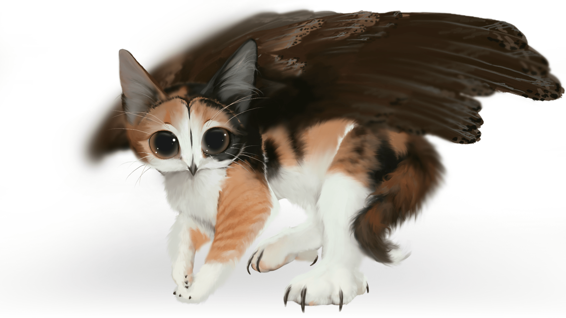 1920x1080 Extra Fluffy Real Meowl (self Made Brushes)