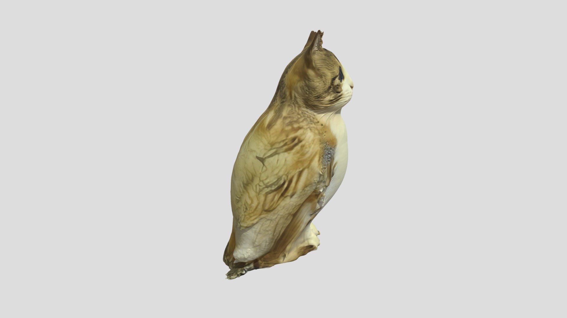 1920x1080 Meowl Free 3D model by chul su [1ece6a7]