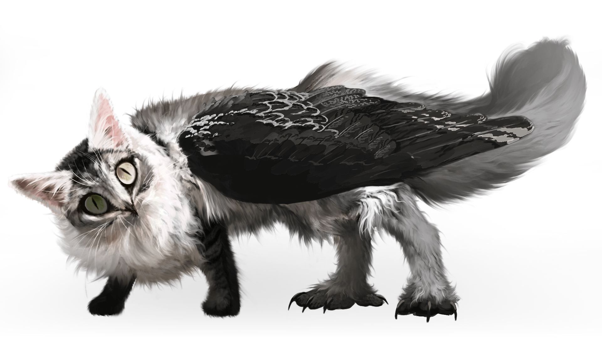 1920x1080 This Real Meowl took me a bit longer. Over 5 hrs of fluffiness ouo