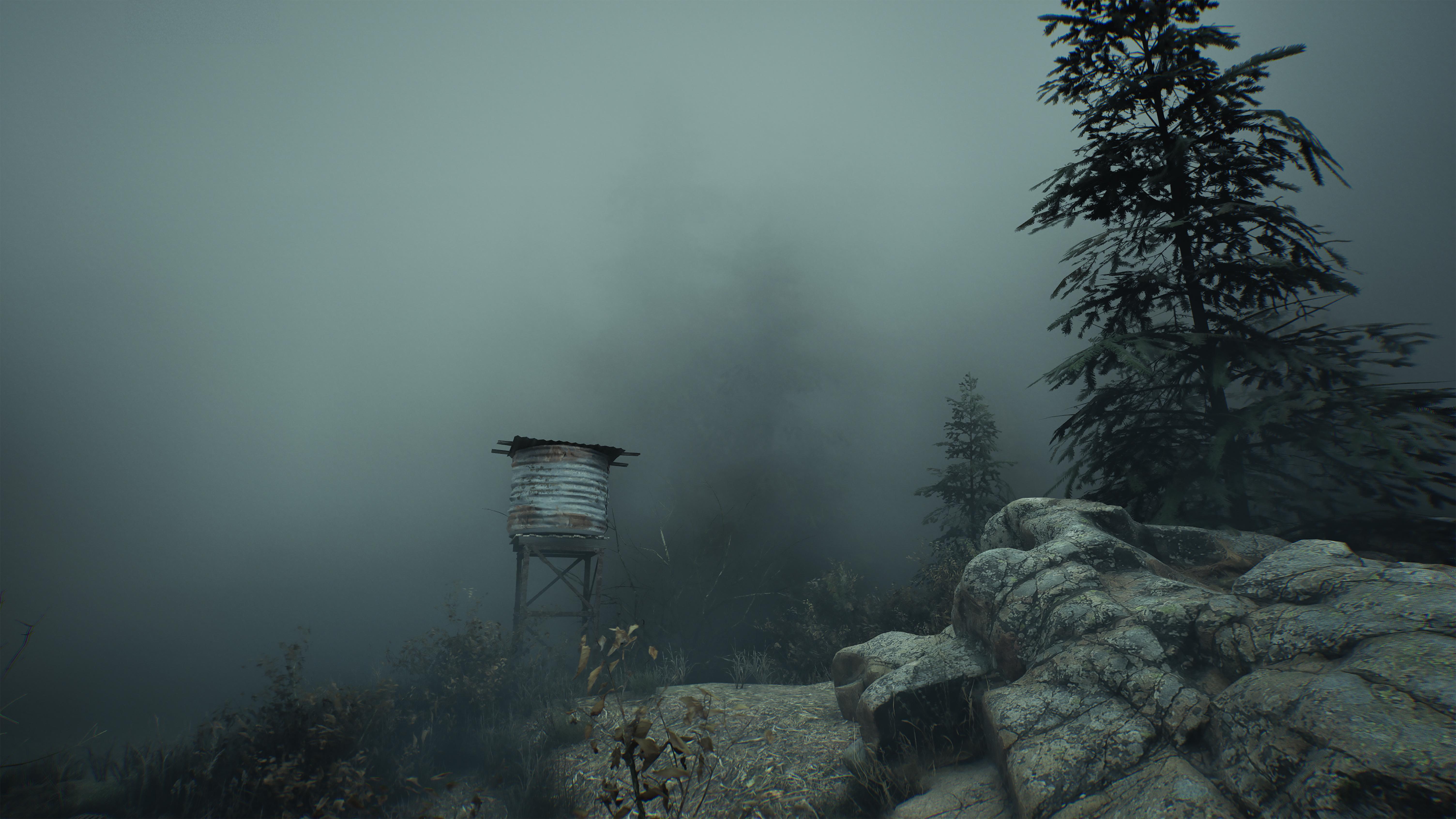 6016x3384 Some SH2R screenshots I've turned into wallpaper (PC) Hope you enjoy them!
