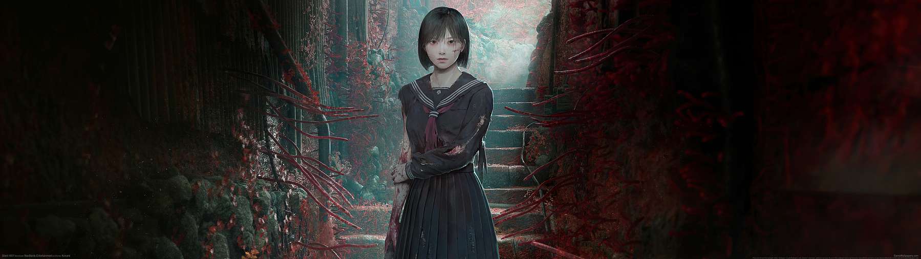 1799x506 