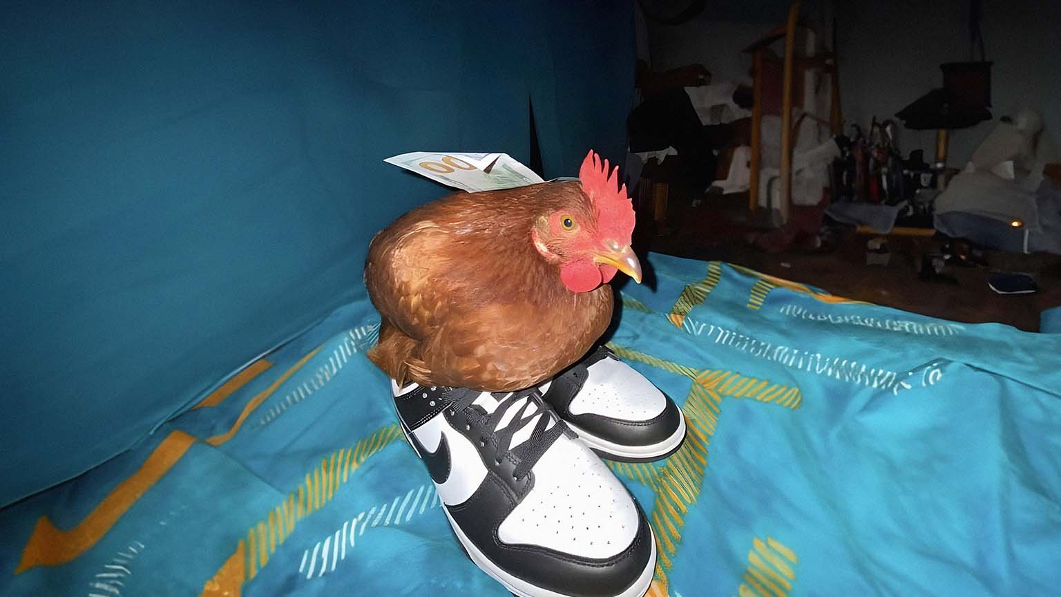 1536x864 Chicken with Shoe Meme Goofy Ahh Desktop Wallpaper 4K