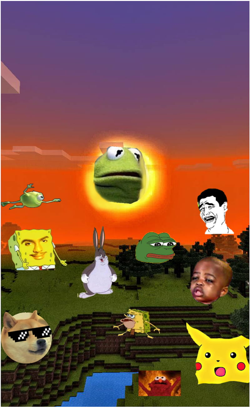 800x1304 Meme face, funny, old, old meme, HD phone wallpaper