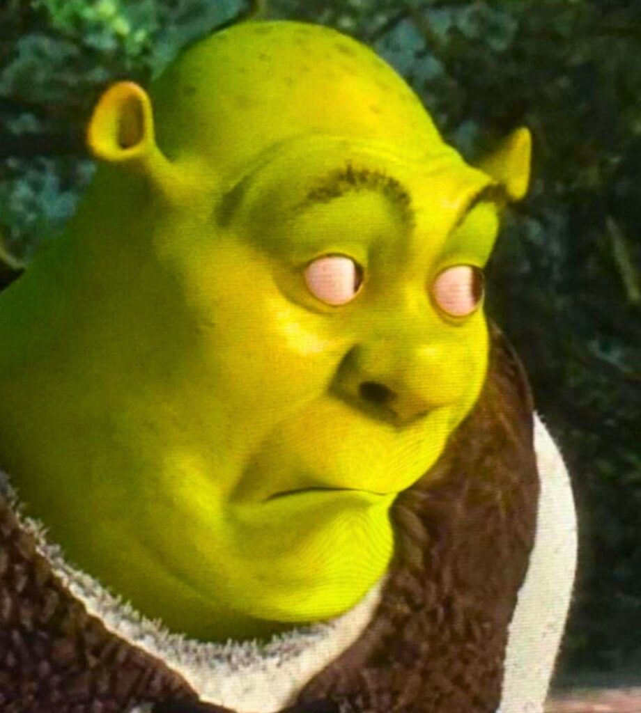 920x1024 Goofy Ahh Picture, Funny, Meme, PFP, Image, Wallpaper 2025