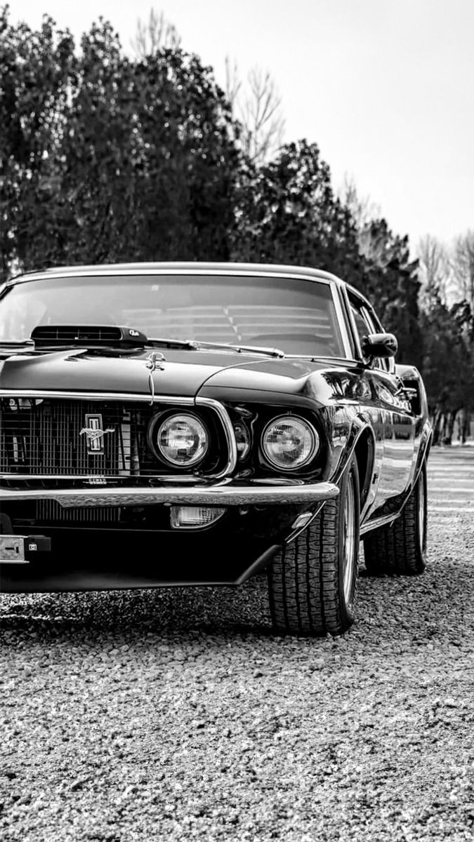 675x1200 MUSTANG