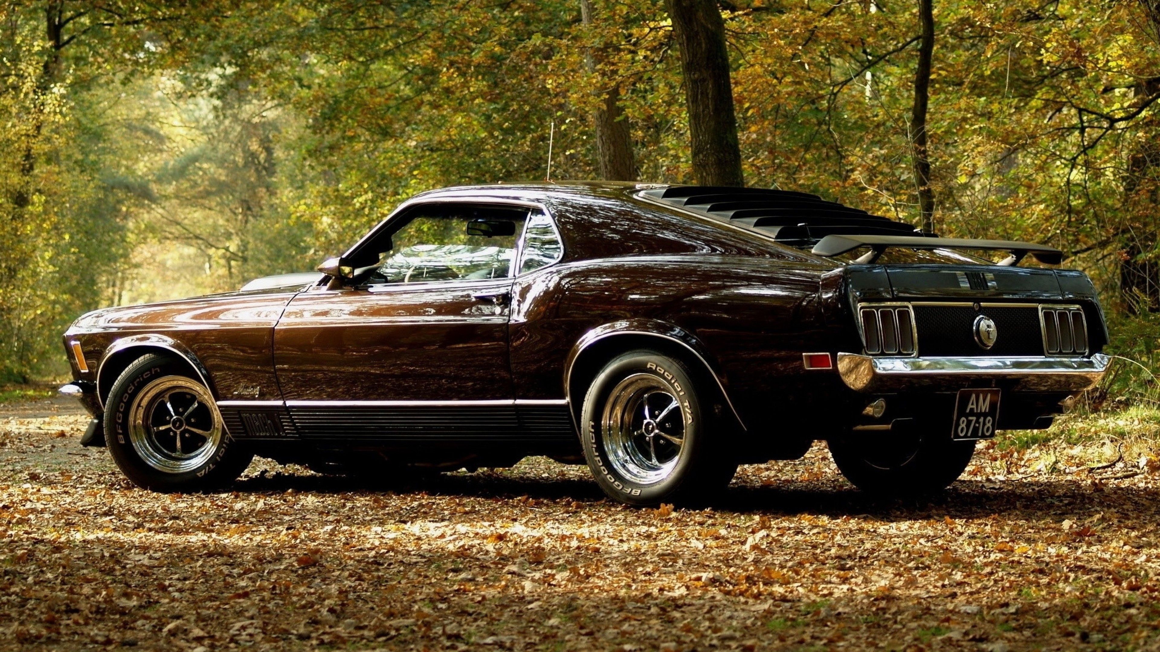 3840x2160 Ford Mustang Wallpaper