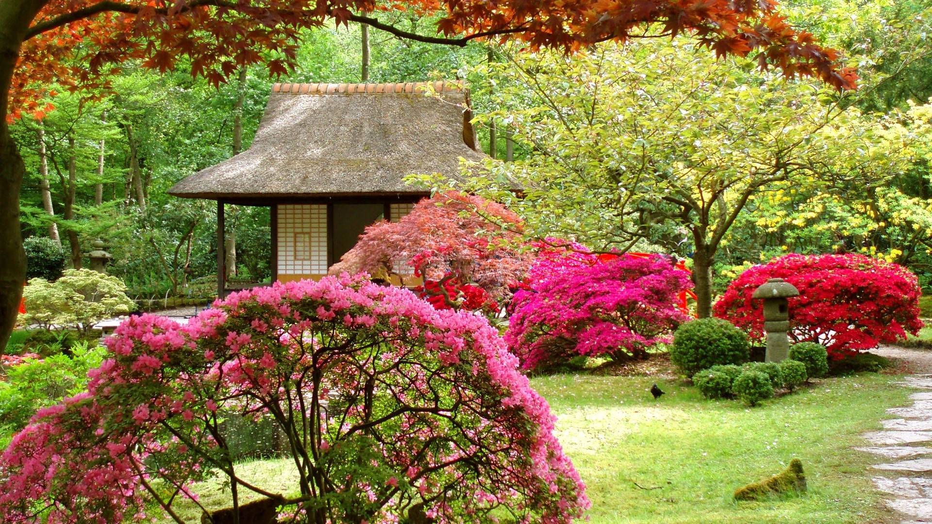 1920x1080 eleletsitz: Spring Japanese Garden Wallpaper Image