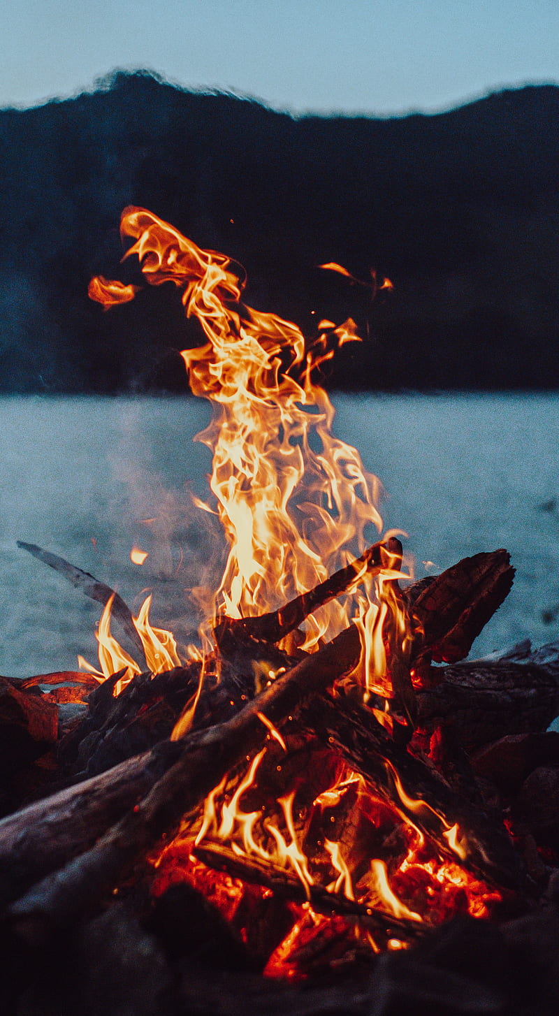 800x1454 HD burning wood fire wallpaper