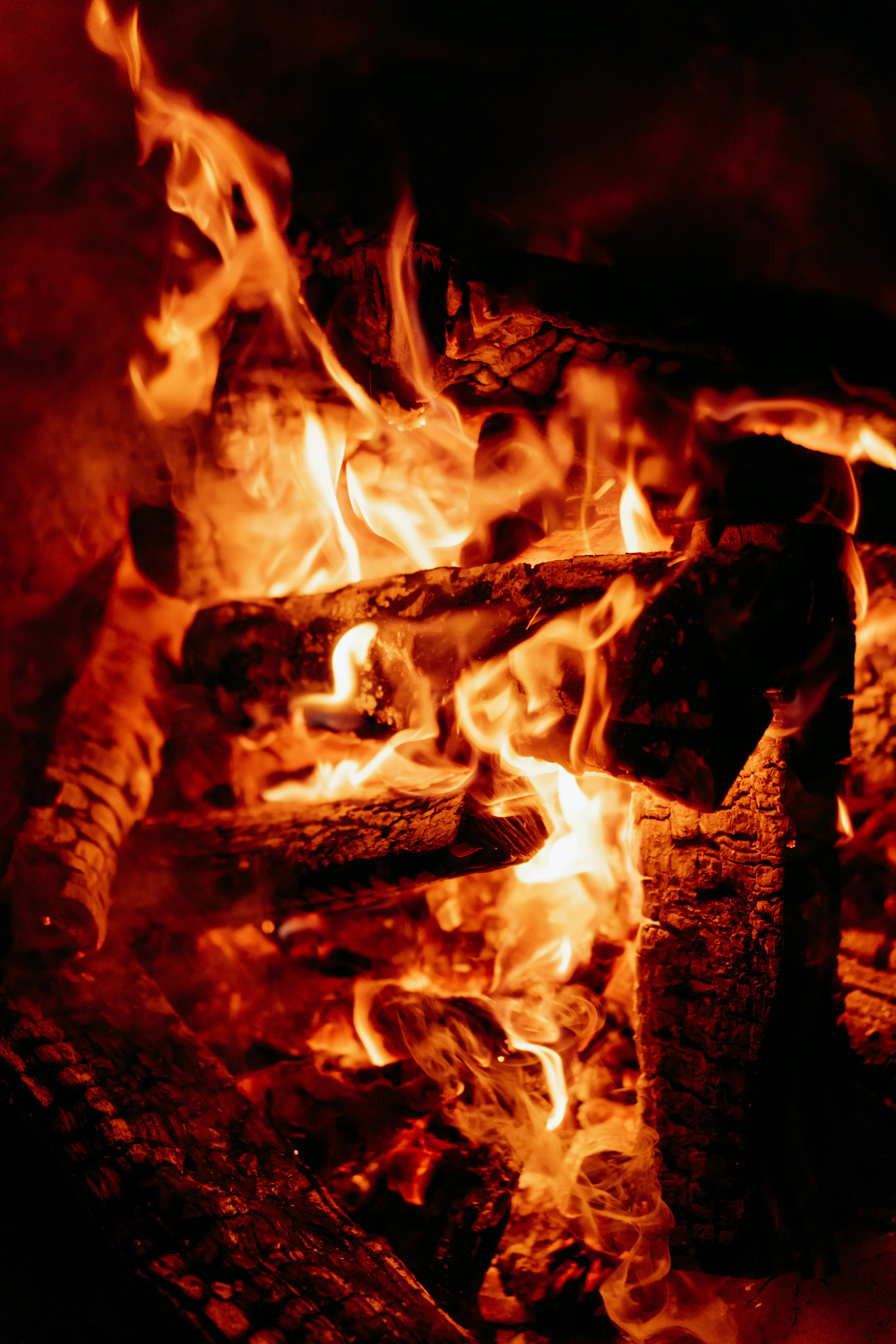 4000x6000 Burning Wood in Fire Pit · Free