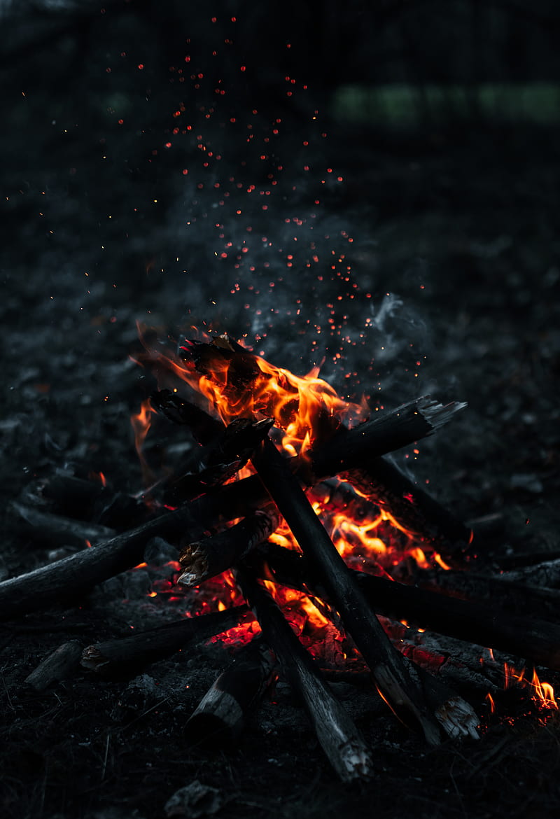 800x1170 Burning wood on fire pit, HD phone wallpaper