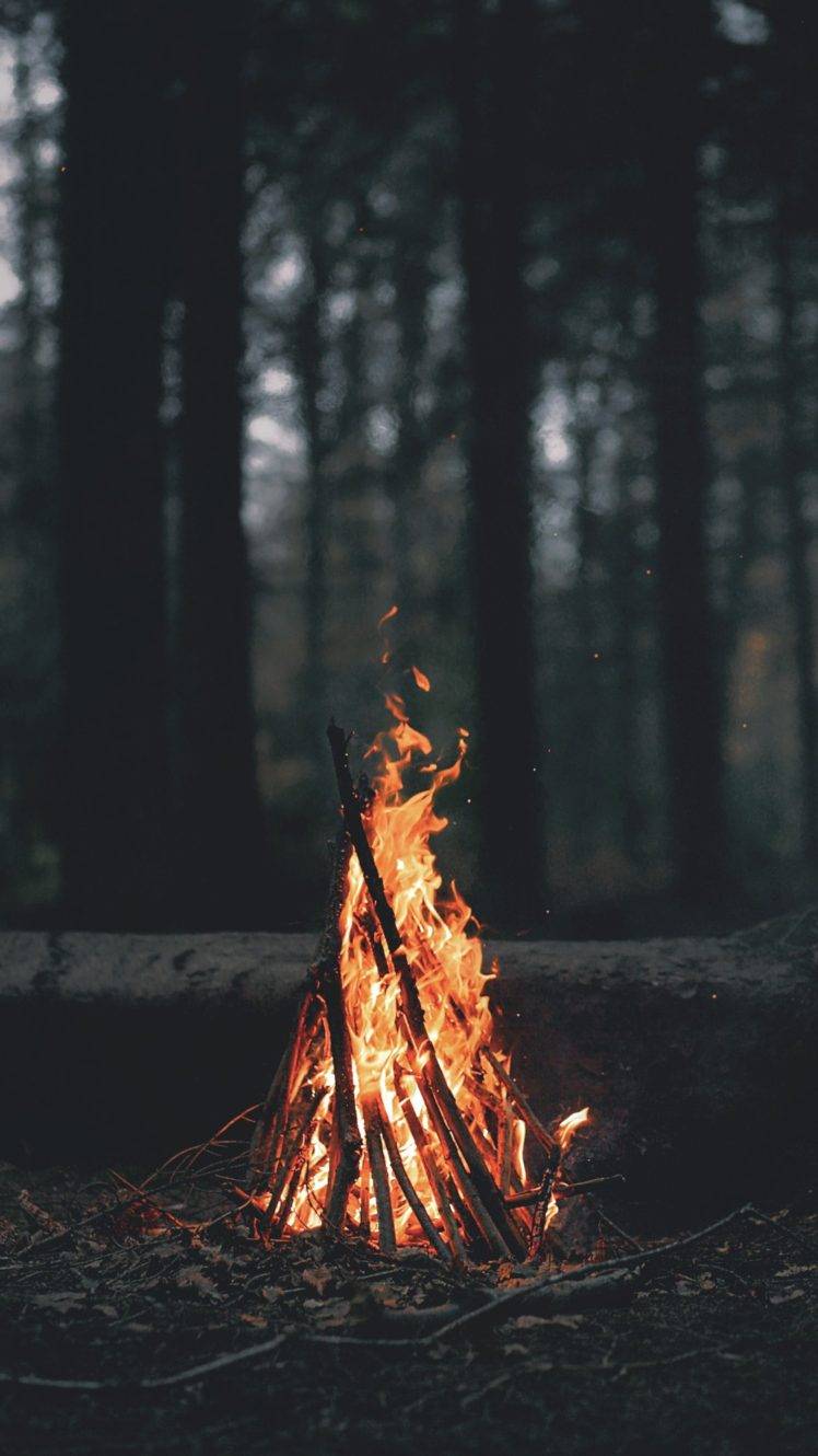 748x1330 Wood Fire Wallpaper