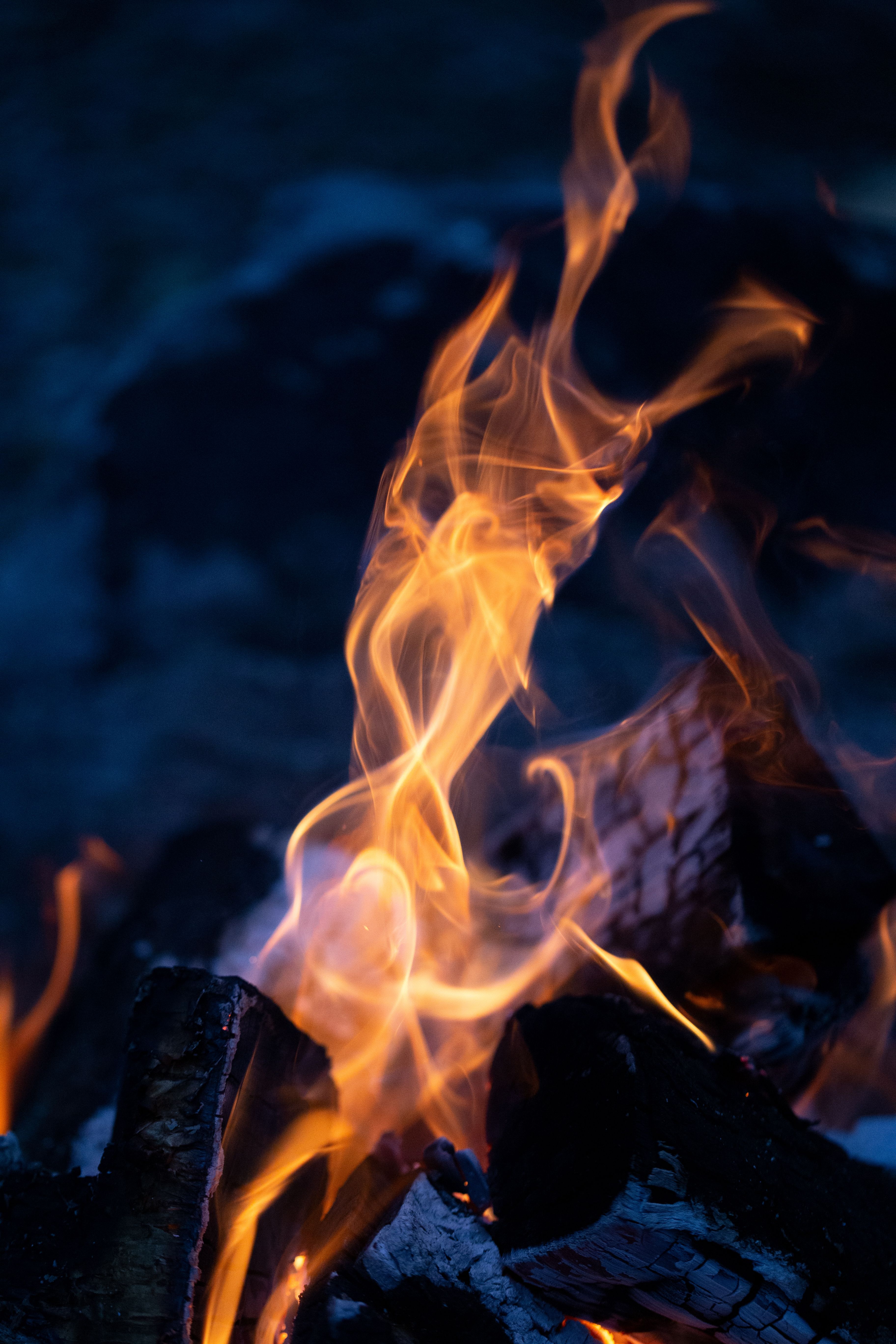 3648x5472 Camp Fire Wood Royalty Free Photo