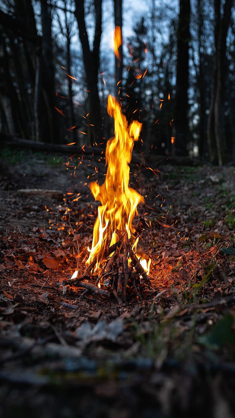 800x1422 HD burning wood fire wallpaper