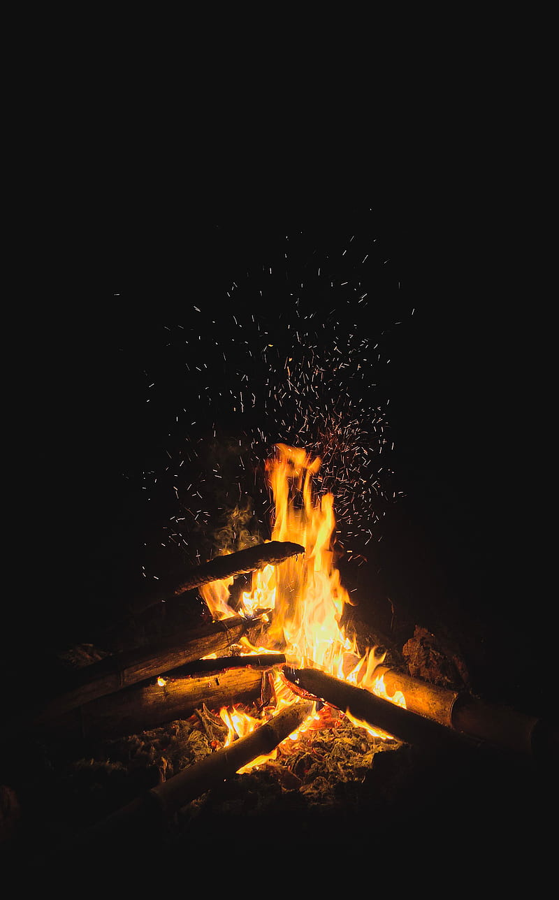 800x1288 Bonfire, wood, fire, flame, sparks, HD phone wallpaper