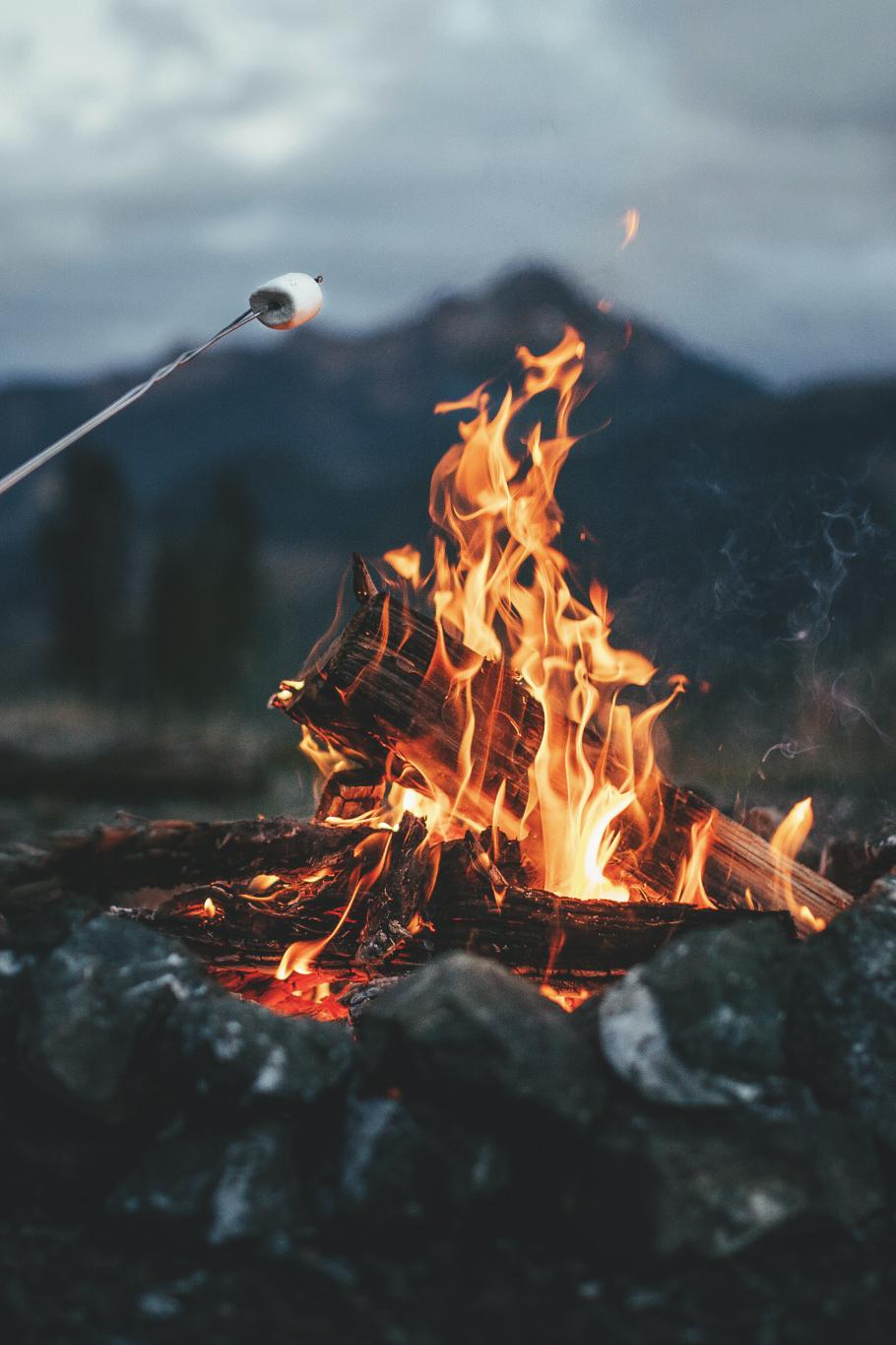 910x1365 Fire Wood Wallpaper