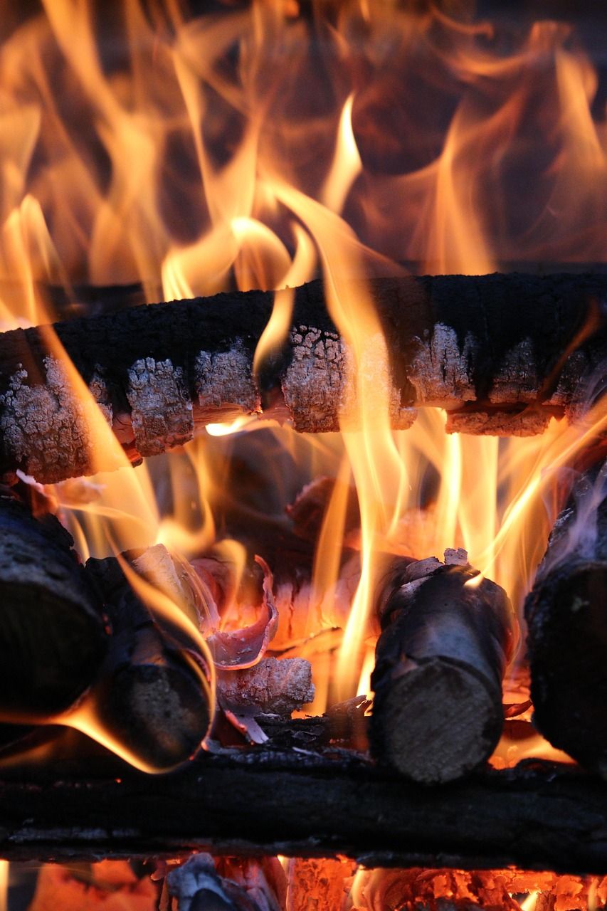 853x1280 Free Wood Fire & Fire Image
